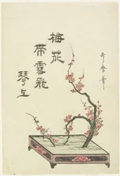 Plum Flower Arrangement
